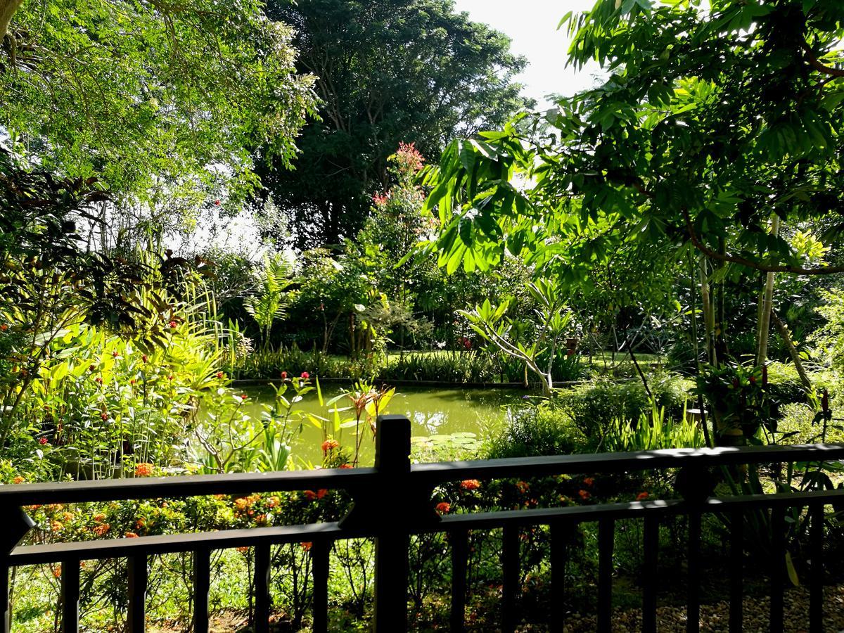 Villa Albizia, Chiang Mai 萨科特山 外观 照片