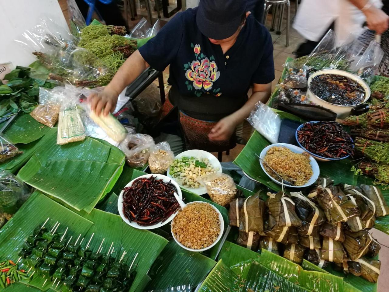 Villa Albizia, Chiang Mai 萨科特山 外观 照片