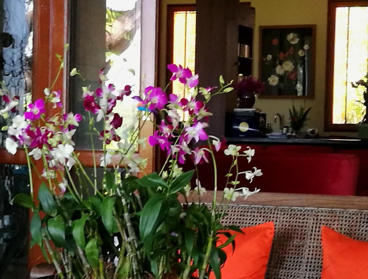 Villa Albizia, Chiang Mai 萨科特山 外观 照片
